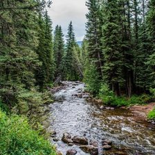 Схема вышивки «ручей в лесу»
