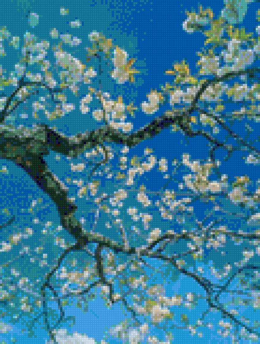 Hoa ban - 123 - предпросмотр