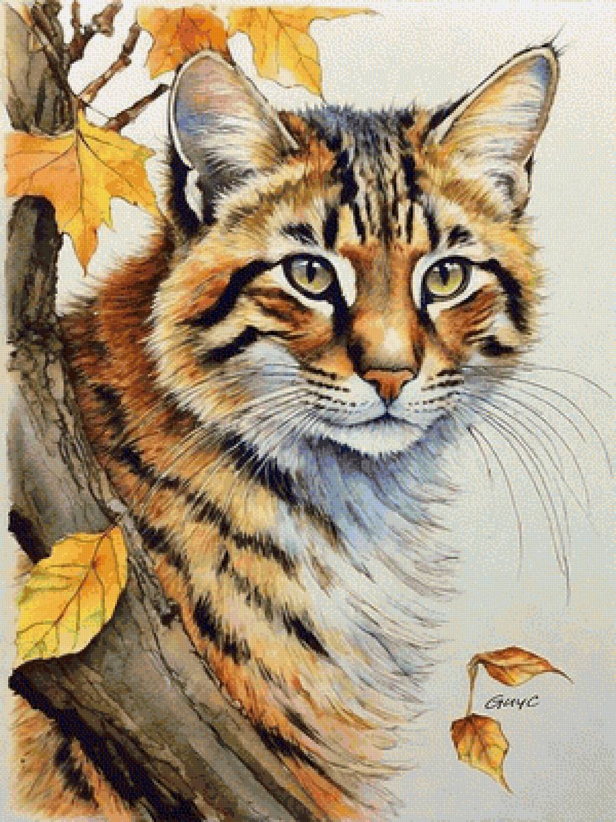 Лесной кот - художники - предпросмотр