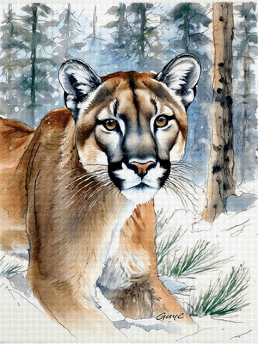 Пума - художники - предпросмотр