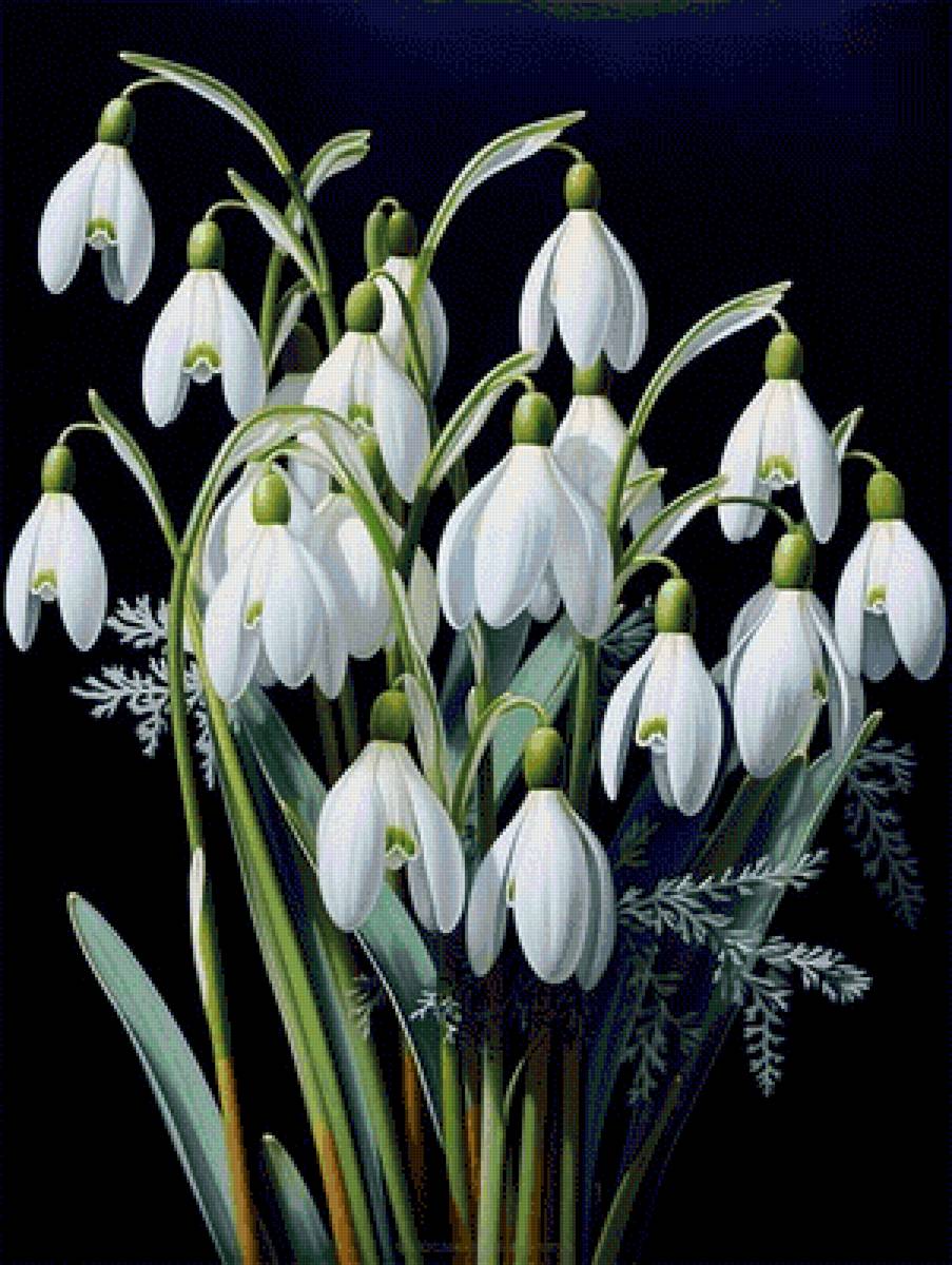 №2775801 - предпросмотр