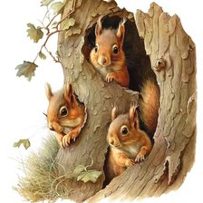 Схема вышивки «№2776018»