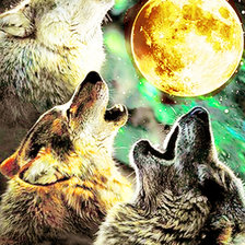 Схема вышивки «волки»