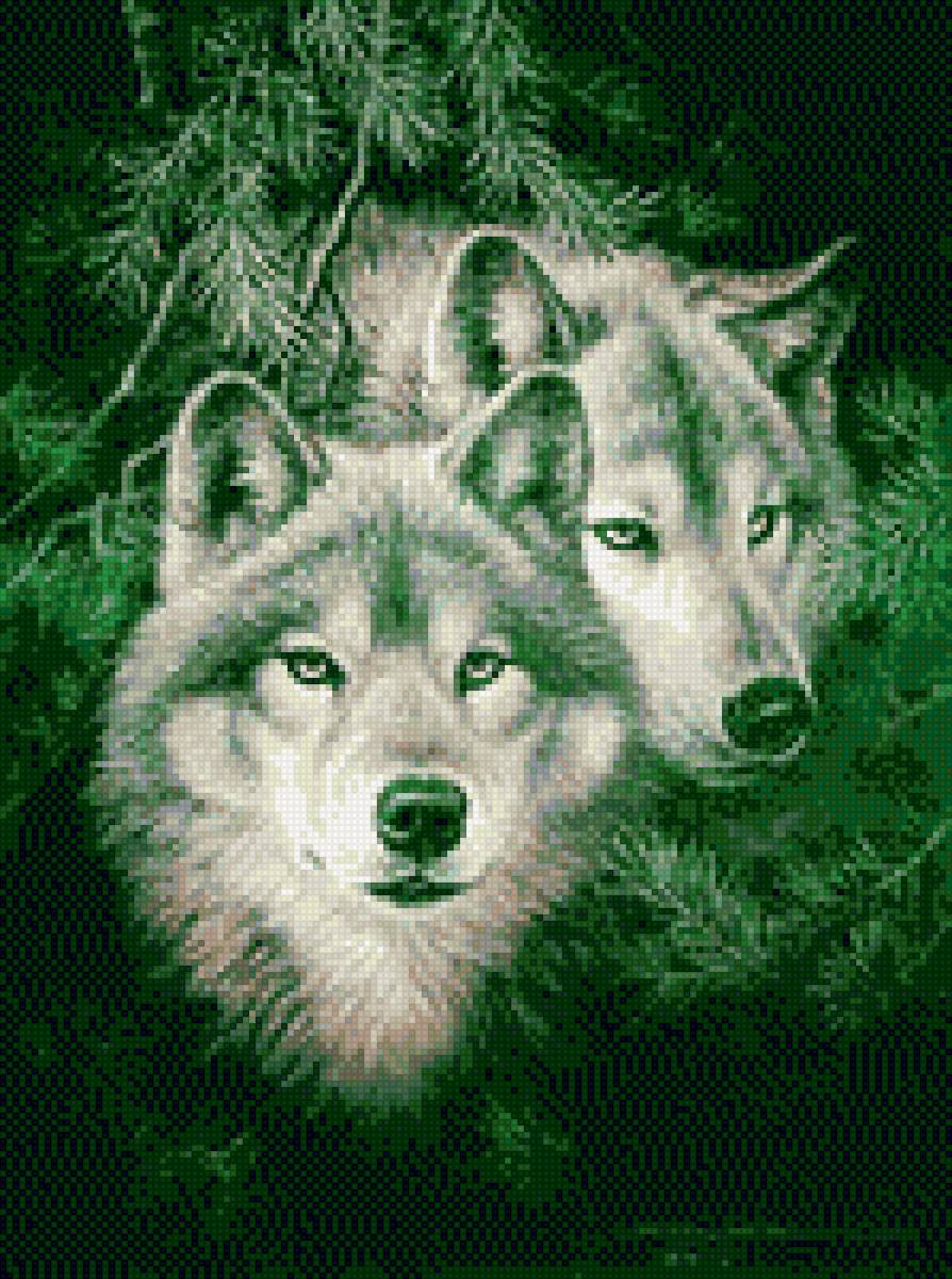 волки2 - хищники - предпросмотр