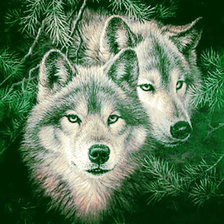 Схема вышивки «волки2»