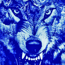 Схема вышивки «волк44»