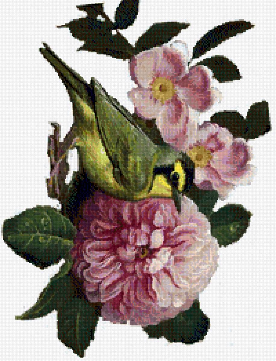 bird con flores - предпросмотр