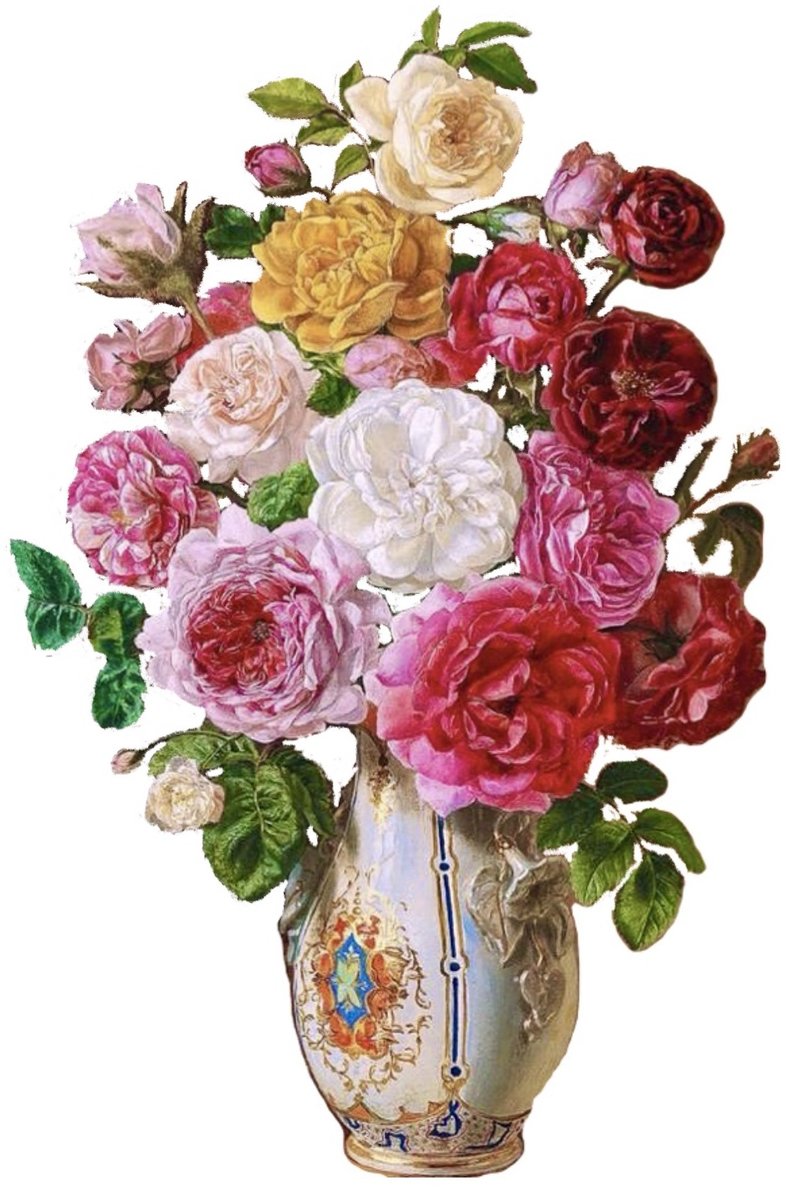vace de rosas - оригинал
