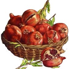 Схема вышивки «granadas»