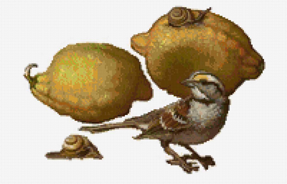 limones - предпросмотр