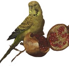 Схема вышивки «granada»