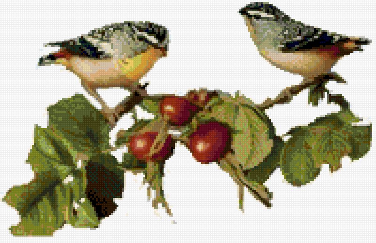 céreas - предпросмотр