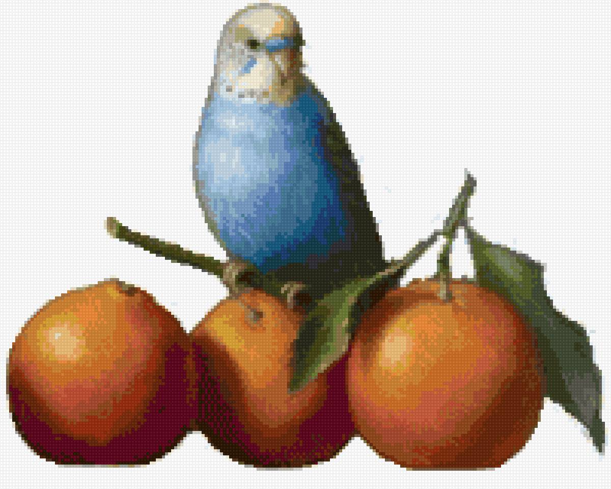 naranjas - предпросмотр