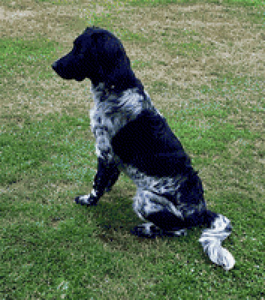 Body in Zelhem - hond - предпросмотр