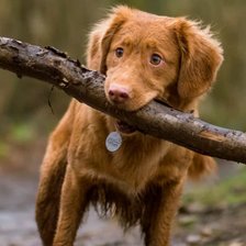 Схема вышивки «Мальчики-красавчик.»