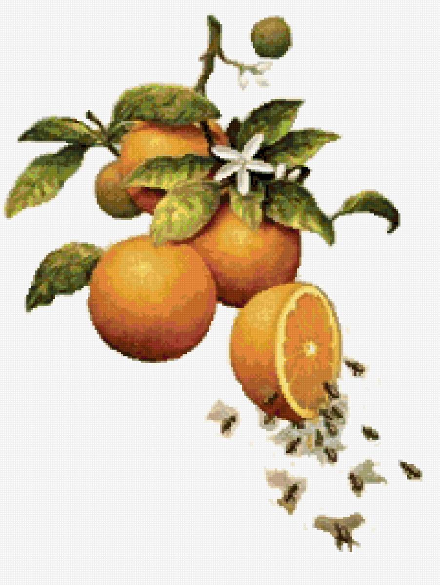 naranjas - предпросмотр