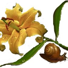 Схема вышивки «lirio caracol»