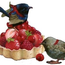 Схема вышивки «pie de fresas»