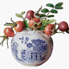 Схема вышивки «vace azul»