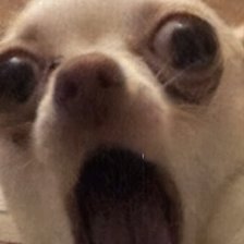 Схема вышивки «Ужас»