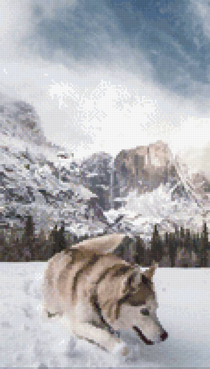 Хаски - хаски., животные, собаки - предпросмотр