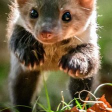 Схема вышивки «Симпатяжка.»