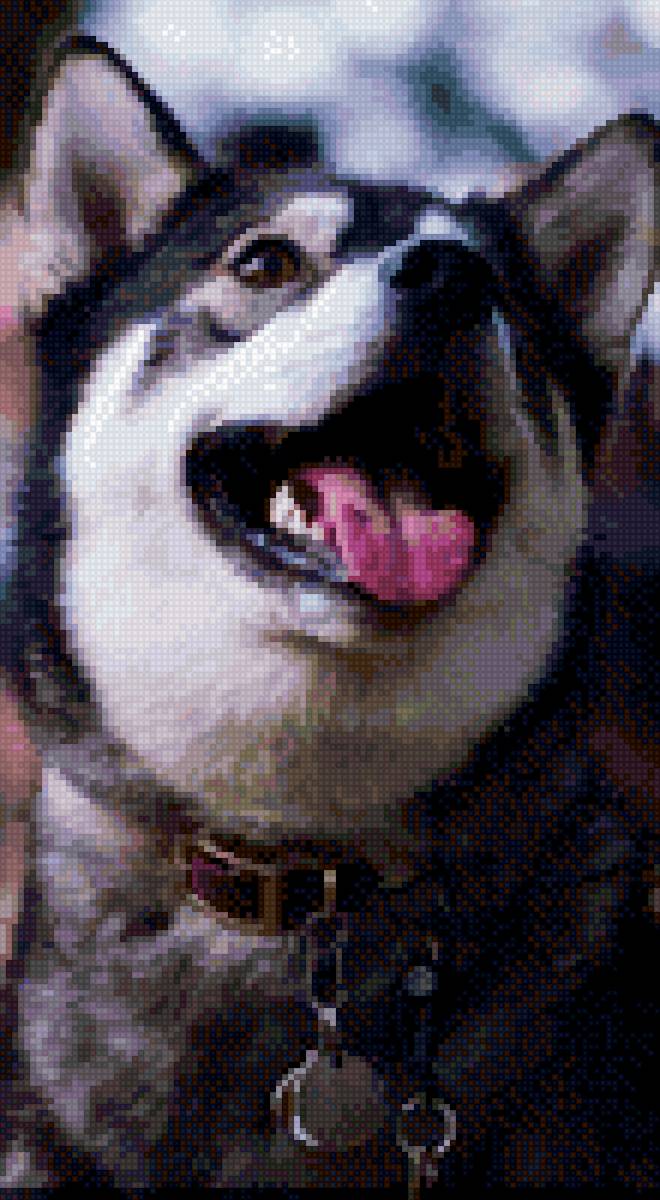 Хаски - животные, собаки - предпросмотр