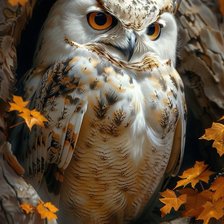 Схема вышивки «Белый филин»