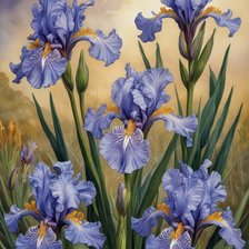 Схема вышивки «Irisi»