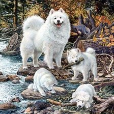 Схема вышивки «№2777561»