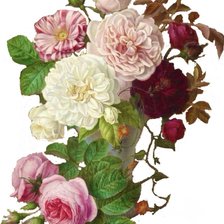 Схема вышивки «vace de rosas»