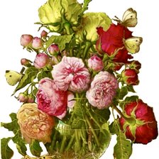 Схема вышивки «vace de rosas»