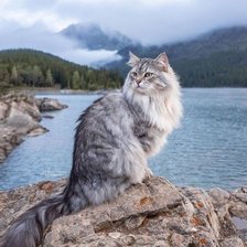 Моя Норвегия