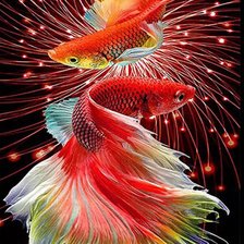 Схема вышивки «Кои»