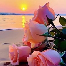 Схема вышивки «Розы  в лучах заката»