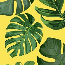 Схема вышивки «Монстера»