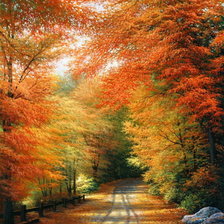 Схема вышивки «осенняя пора,,»