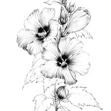 Схема вышивки «мальва»