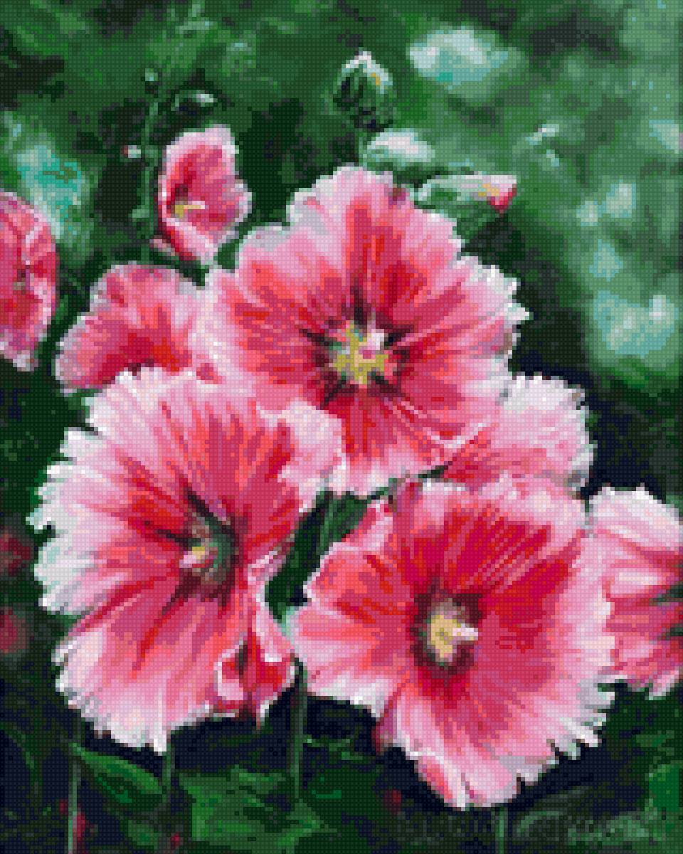 мальва - мальва, цветы - предпросмотр