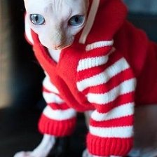 Схема вышивки «Сфинкс 1»