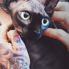 Схема вышивки «Сфинкс 2»