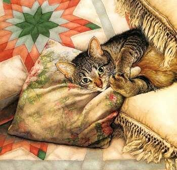 Gatos - оригинал