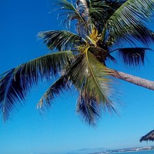 Схема вышивки «№2781446»