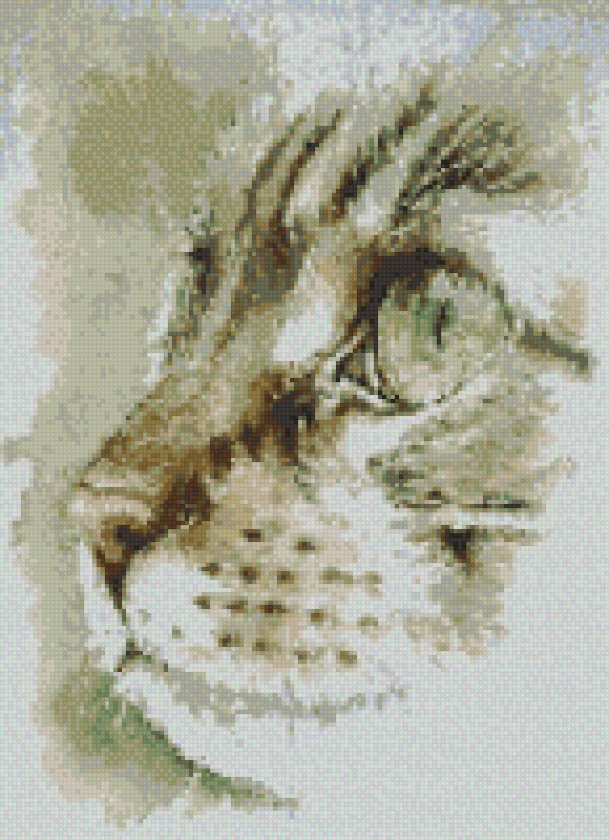 кошка - кот, кошка, животные - предпросмотр