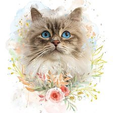 Схема вышивки «кошка4»