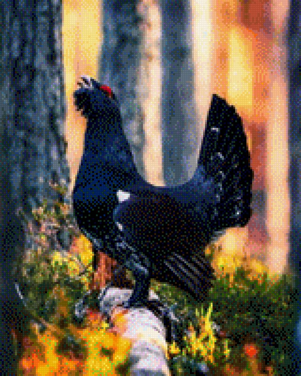 Глухарь - глухарь - предпросмотр