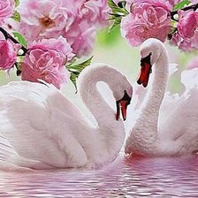 Схема вышивки «cisces blancos»