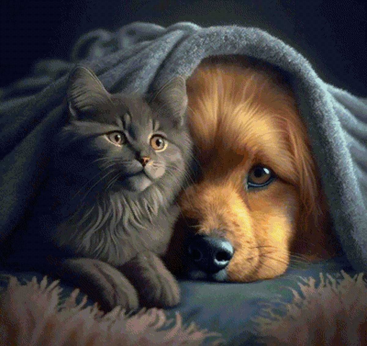 Под пледом - предпросмотр