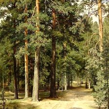 Схема вышивки «5211»