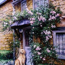 Схема вышивки «Ожидание»